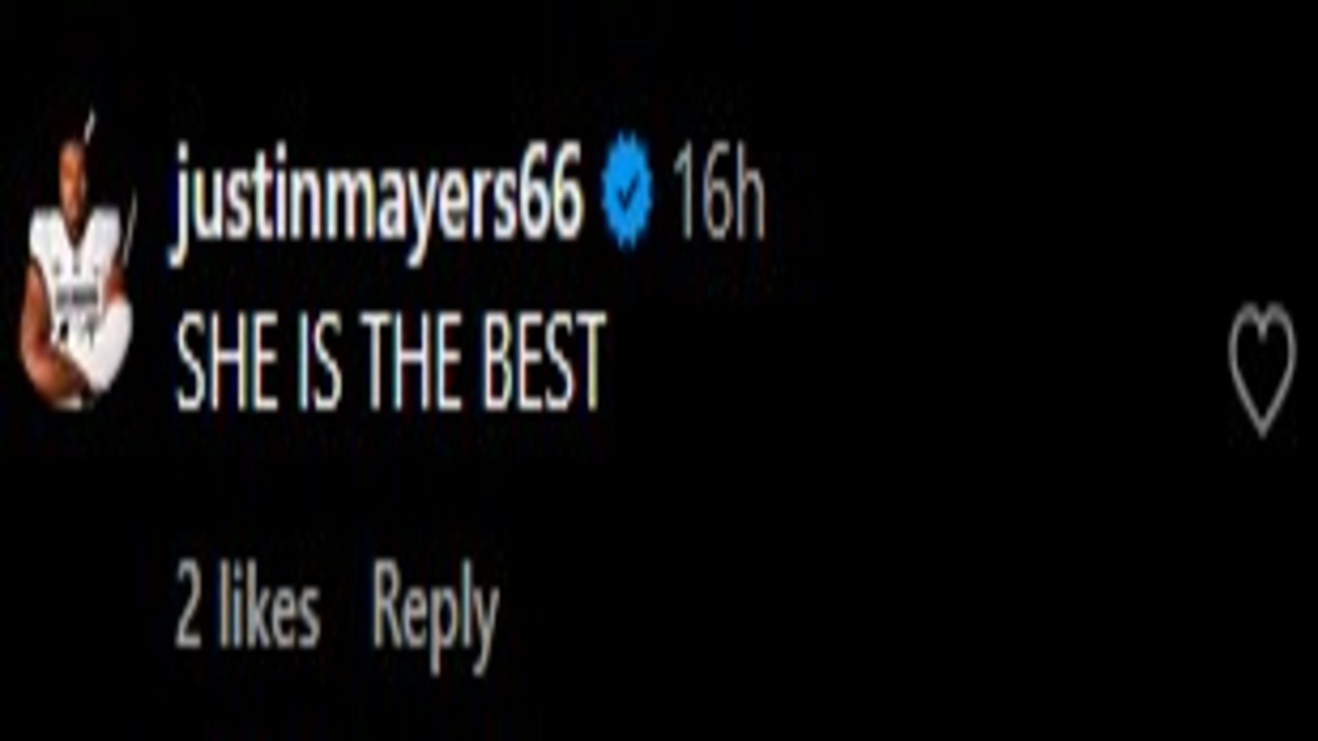 Image via the comments of the Instagram post.